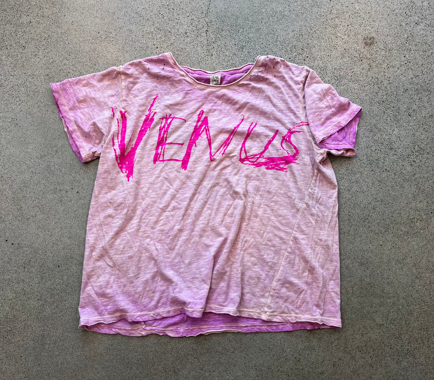 Magnolia Pearl - Venus T