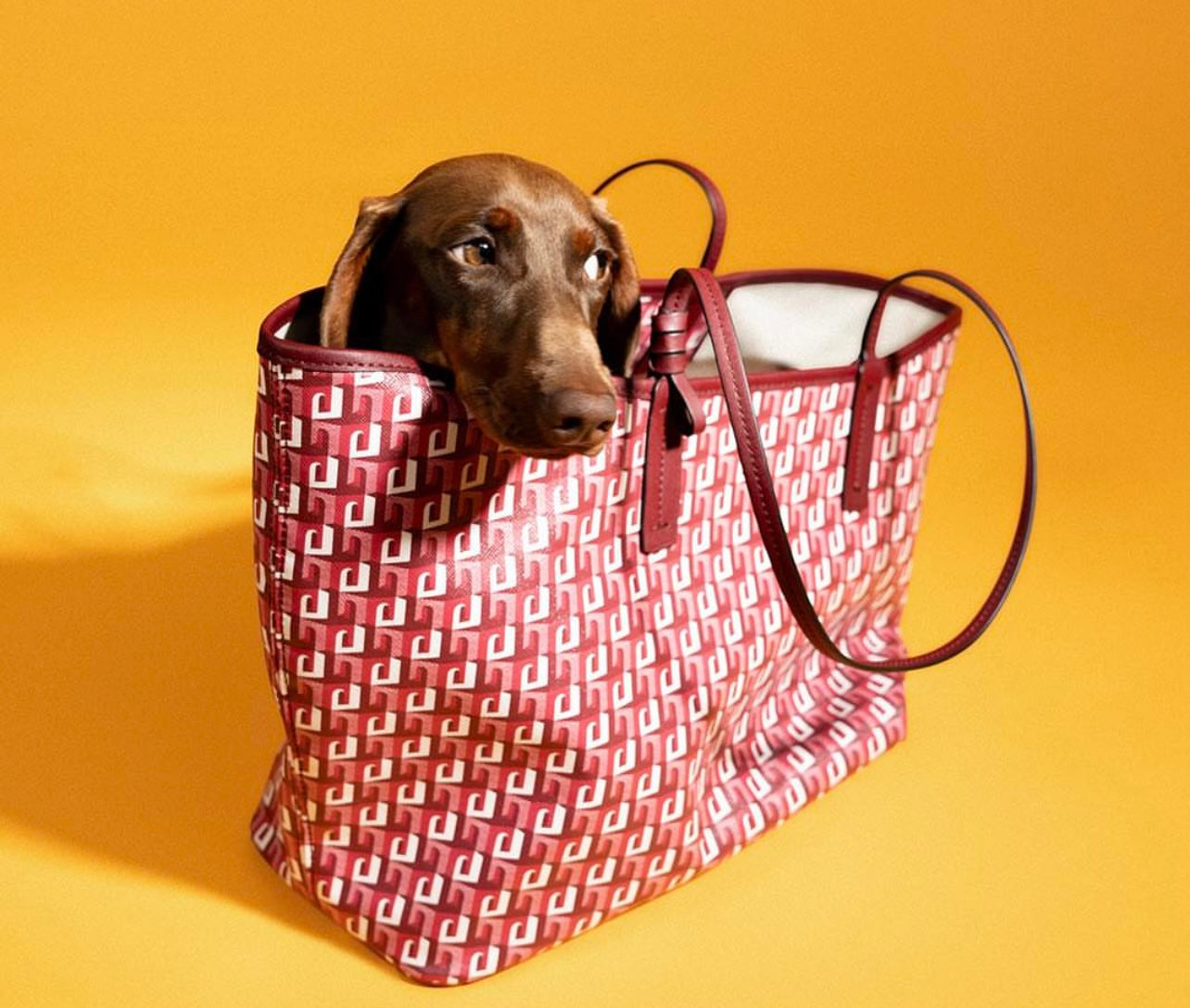 Pesseia - Tike Tote in three colors