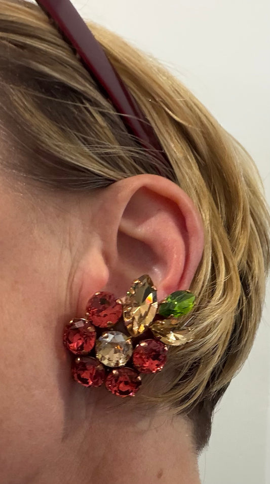 Alba Bijoux- Flower Cluster Clip  Earrings