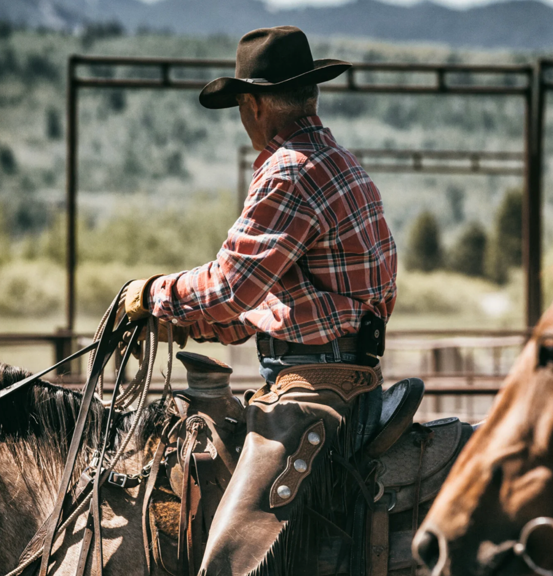 Black Bear Brand Men - Red Distressed Plaid Shirt